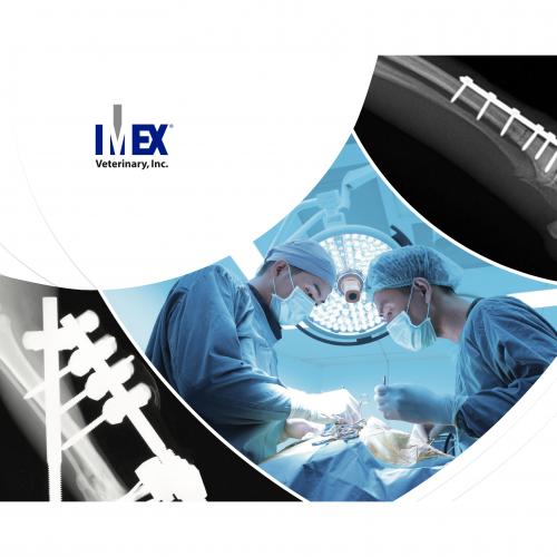 Imex Veterinary