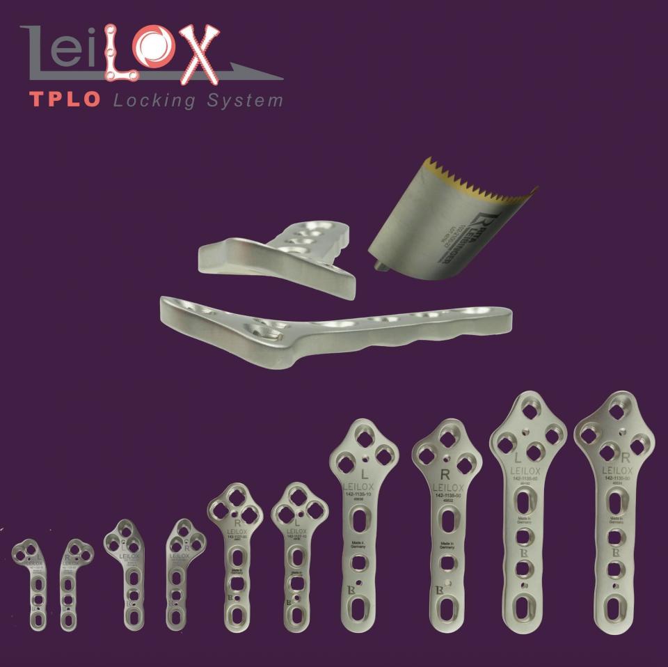 TPLO workshop
