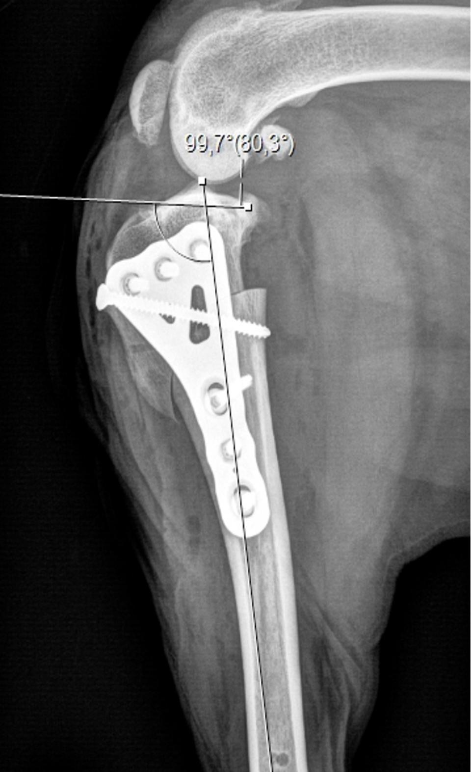 CBLO & CTWO